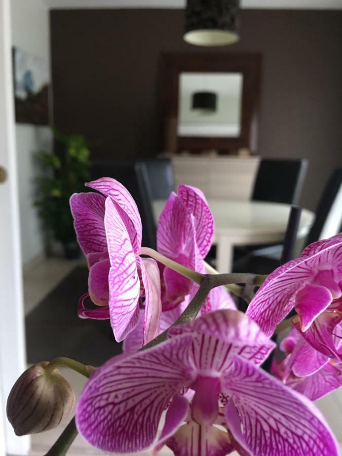 Nano House Apartman Bègles Kültér fotó